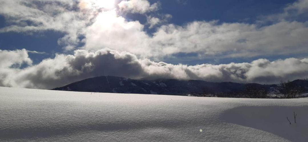 Appartamento Appt A Ancelle Pied Des Pistes Esterno foto